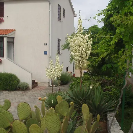 Apartment Mrak